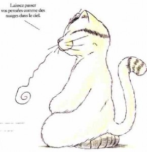 Chat_Zen3